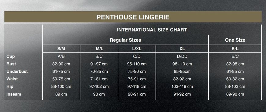Комплект Penthouse - Midnight Mirage Black XL (м'ята упаковка) SO5280-R фото