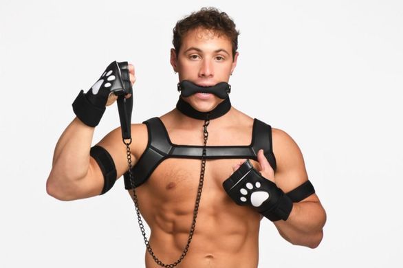 Набір BDSM цуценя Master Series Luxury Pup Arsenal Set - Black SX1194 фото