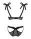 Напівпрозорий еротичний комплект Obsessive Obsessivia 2-pcs set black S/M, бюстгальтер та трусики SO7297 фото 6