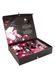 Подарунковий набір Shunga NAUGHTY Cosmetic Kit SO6896 фото 2