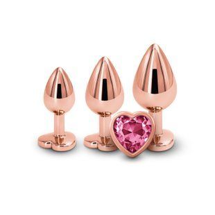 Набір анальних пробок NS Novelties Rear Assets - Trainer Kit - Rose Gold - Pink Heart SX4356 фото